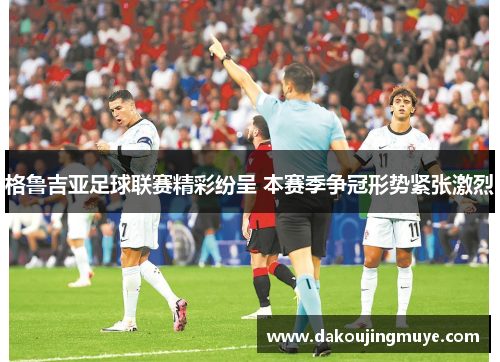 格鲁吉亚足球联赛精彩纷呈 本赛季争冠形势紧张激烈